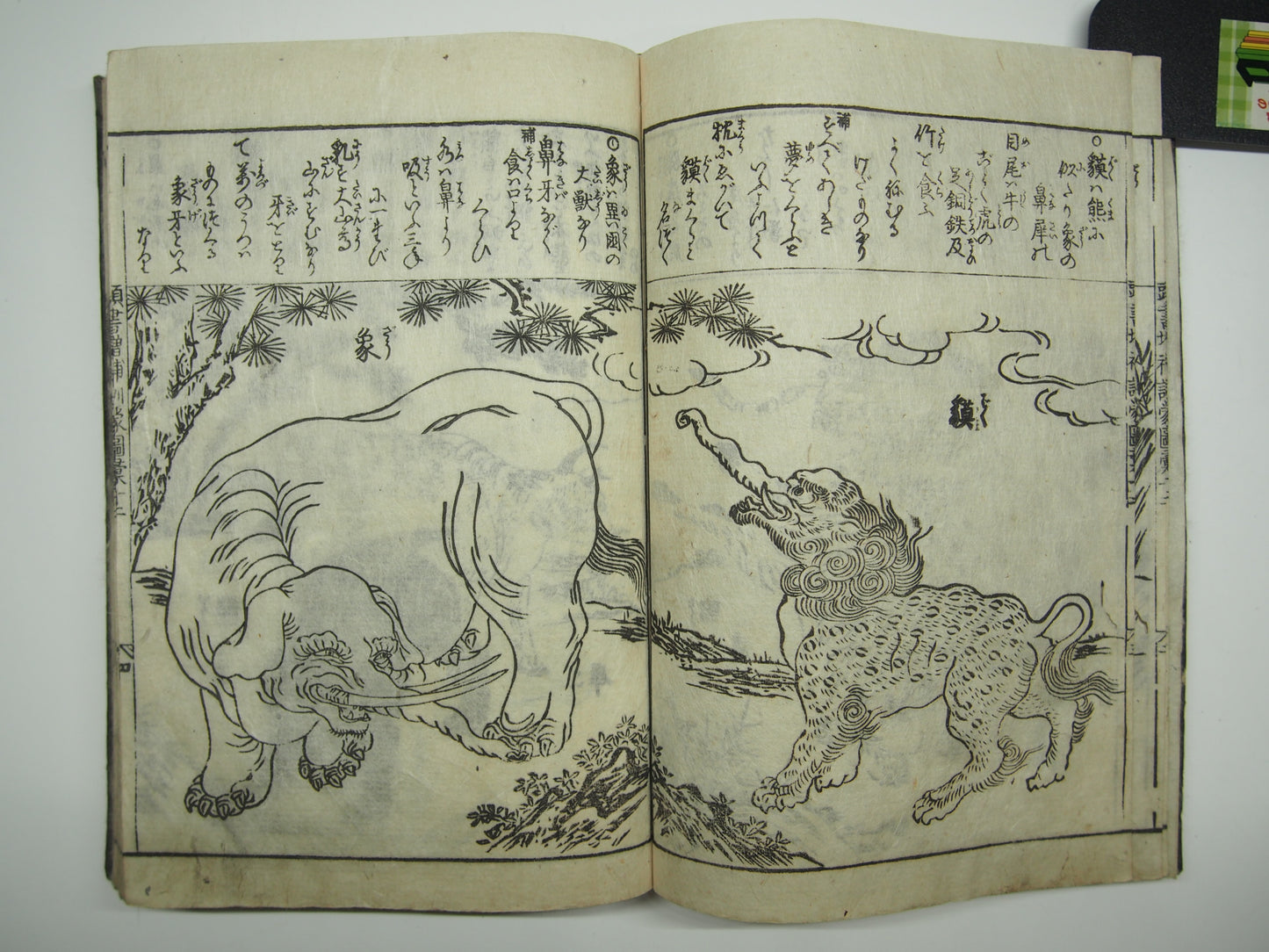 Woodblock Print Book x10 (Vol. 1-21): Kinmo Zui Illustrated Encyclopedia 1789