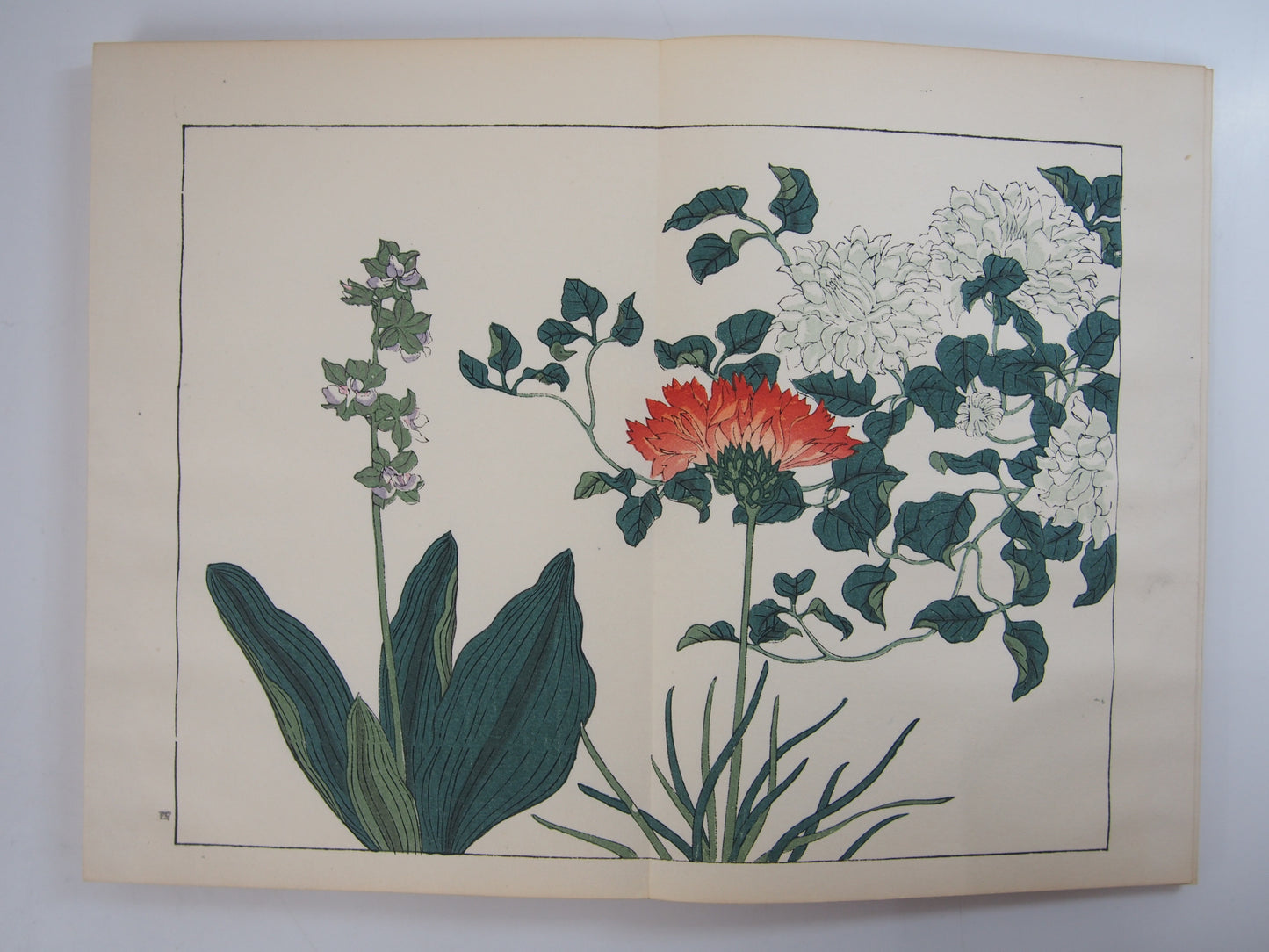 四季の花 全10巻 昭和42年 芸艸堂 Shiki no Hana (Flowers of the Four Seasons) (10 Volumes) 1967 Unsodo