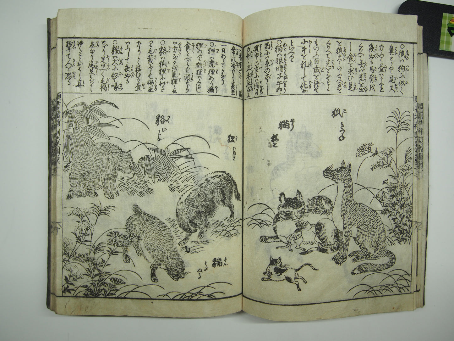 Woodblock Print Book x10 (Vol. 1-21): Kinmo Zui Illustrated Encyclopedia 1789