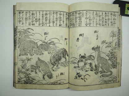 Woodblock Print Book x10 (Vol. 1-21): Kinmo Zui Illustrated Encyclopedia 1789