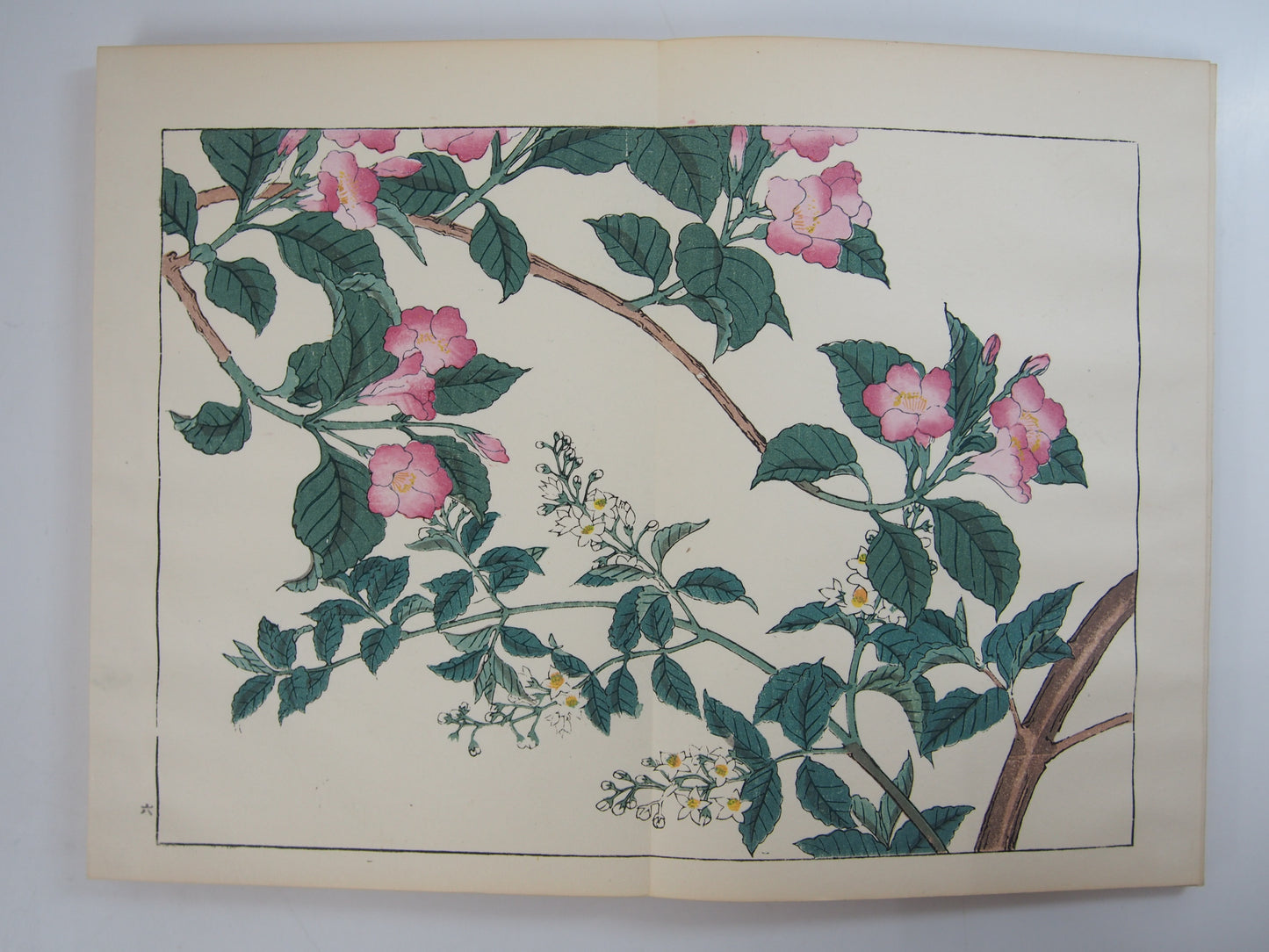 四季の花 全10巻 昭和42年 芸艸堂 Shiki no Hana (Flowers of the Four Seasons) (10 Volumes) 1967 Unsodo