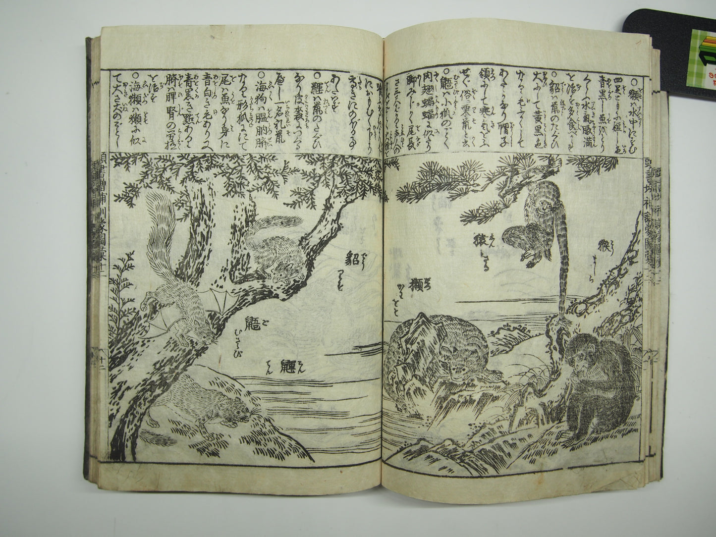 Woodblock Print Book x10 (Vol. 1-21): Kinmo Zui Illustrated Encyclopedia 1789