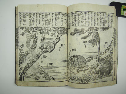 Woodblock Print Book x10 (Vol. 1-21): Kinmo Zui Illustrated Encyclopedia 1789