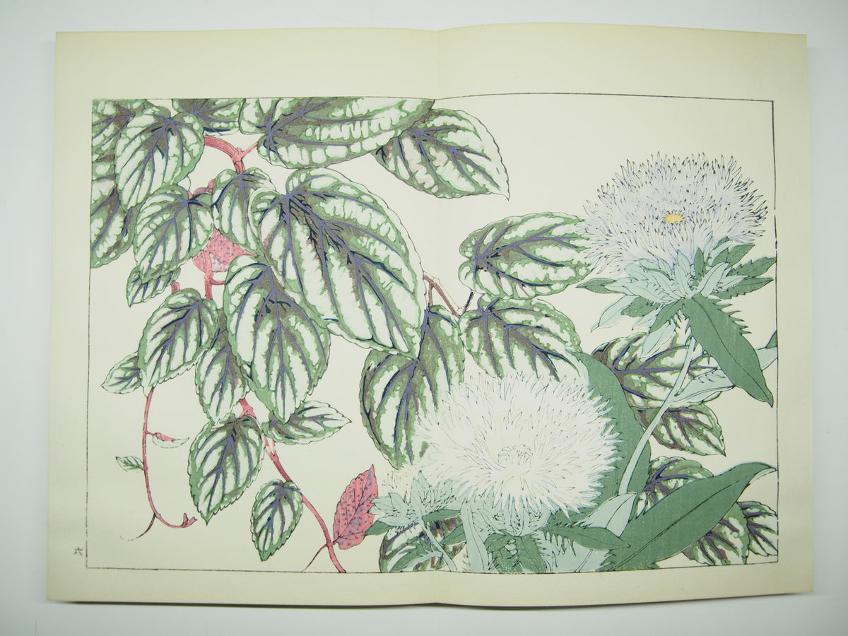谷上広南 『西洋 草花図譜』 芸艸堂 昭和53年