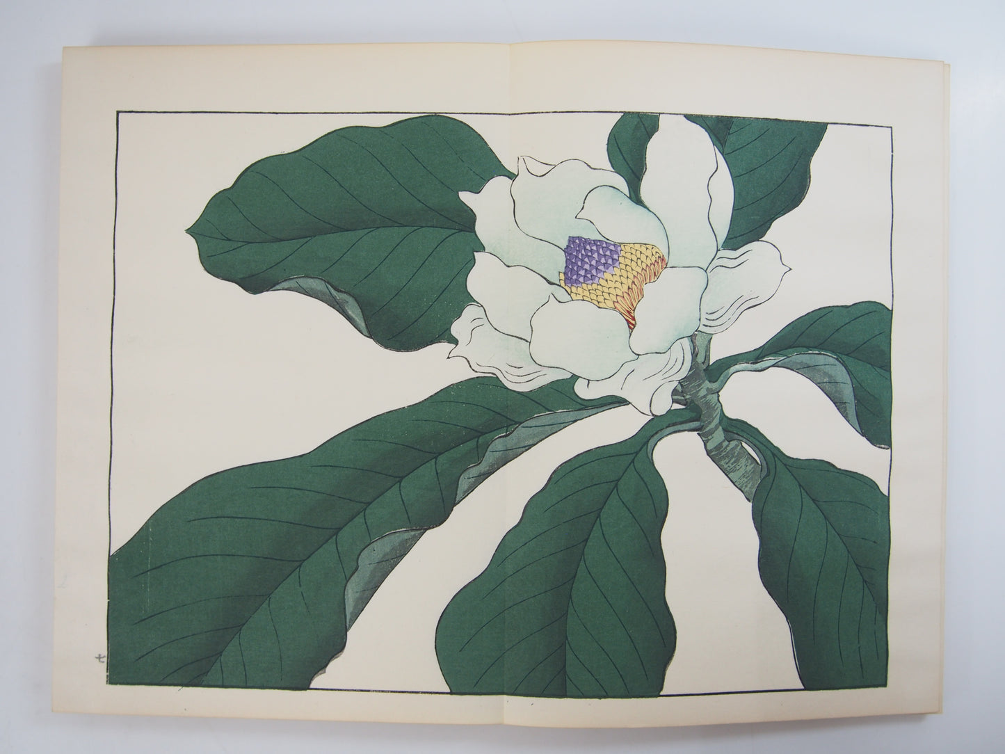 四季の花 全10巻 昭和42年 芸艸堂 Shiki no Hana (Flowers of the Four Seasons) (10 Volumes) 1967 Unsodo