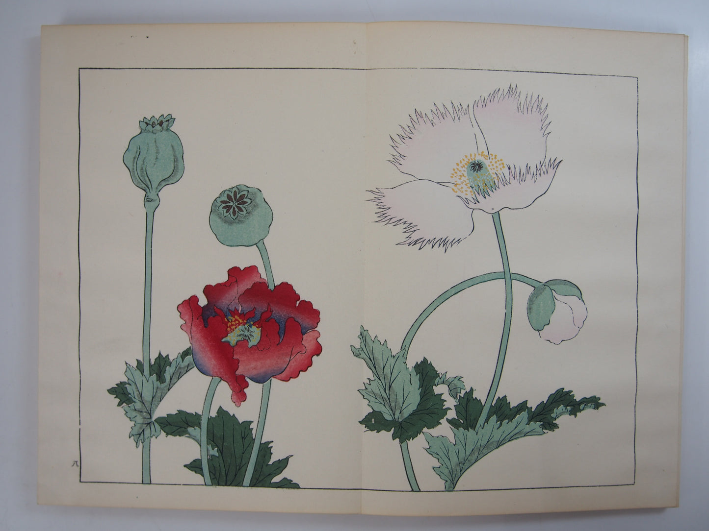 四季の花 全10巻 昭和42年 芸艸堂 Shiki no Hana (Flowers of the Four Seasons) (10 Volumes) 1967 Unsodo
