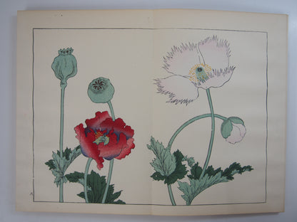 四季の花 全10巻 昭和42年 芸艸堂 Shiki no Hana (Flowers of the Four Seasons) (10 Volumes) 1967 Unsodo