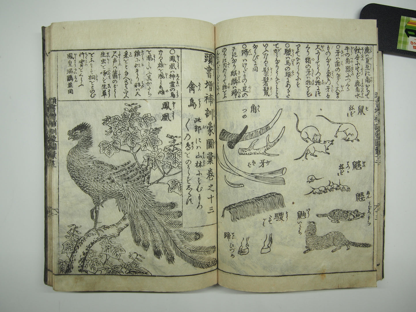 Woodblock Print Book x10 (Vol. 1-21): Kinmo Zui Illustrated Encyclopedia 1789