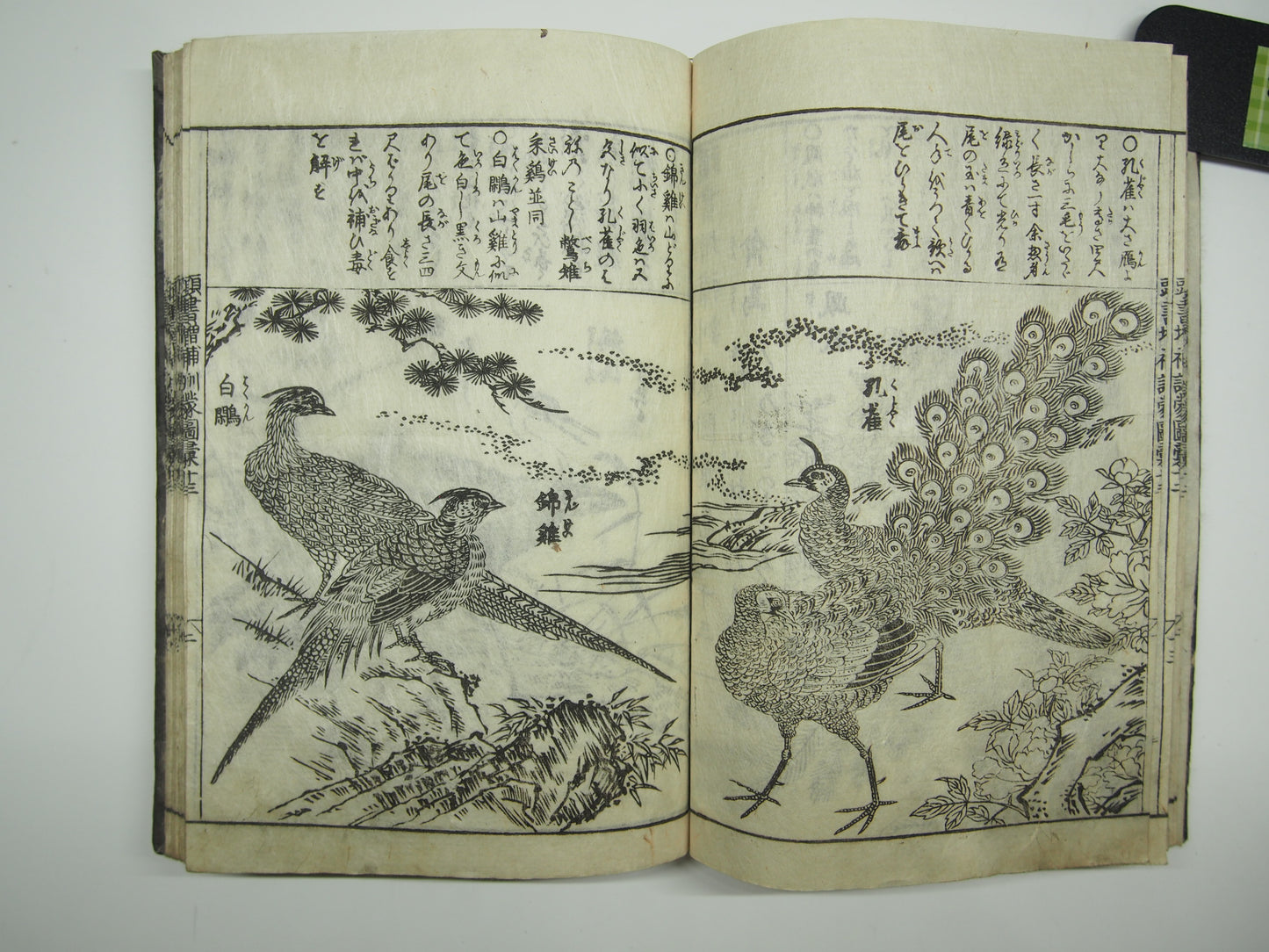 Woodblock Print Book x10 (Vol. 1-21): Kinmo Zui Illustrated Encyclopedia 1789