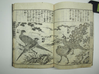 Woodblock Print Book x10 (Vol. 1-21): Kinmo Zui Illustrated Encyclopedia 1789