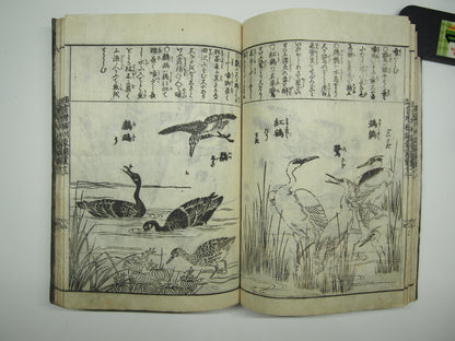 Woodblock Print Book x10 (Vol. 1-21): Kinmo Zui Illustrated Encyclopedia 1789