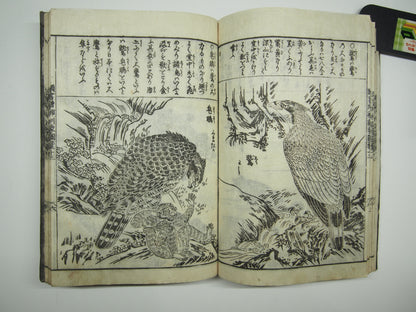 Woodblock Print Book x10 (Vol. 1-21): Kinmo Zui Illustrated Encyclopedia 1789