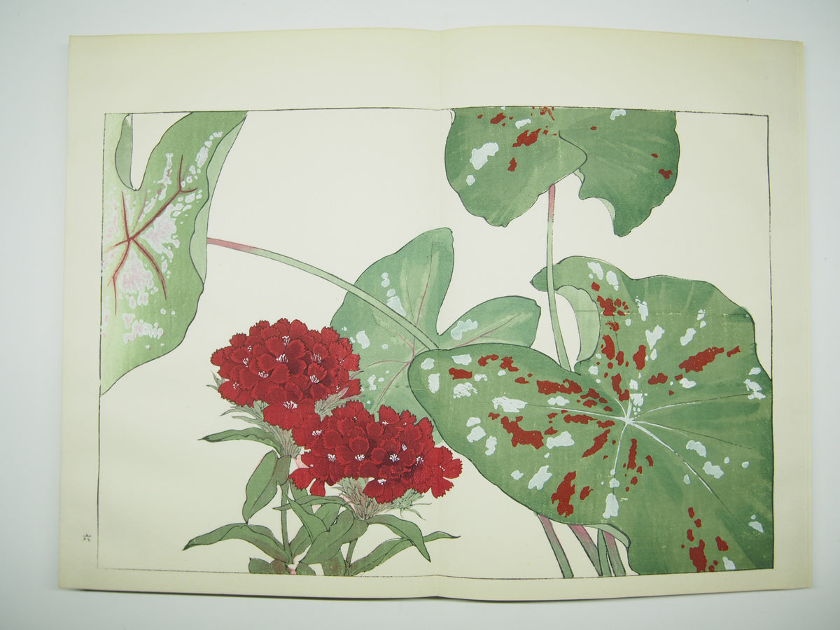 谷上広南 『西洋 草花図譜』 芸艸堂 昭和53年