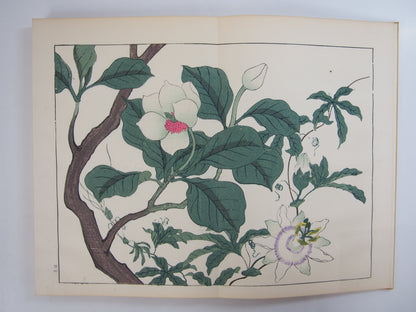 四季の花 全10巻 昭和42年 芸艸堂 Shiki no Hana (Flowers of the Four Seasons) (10 Volumes) 1967 Unsodo