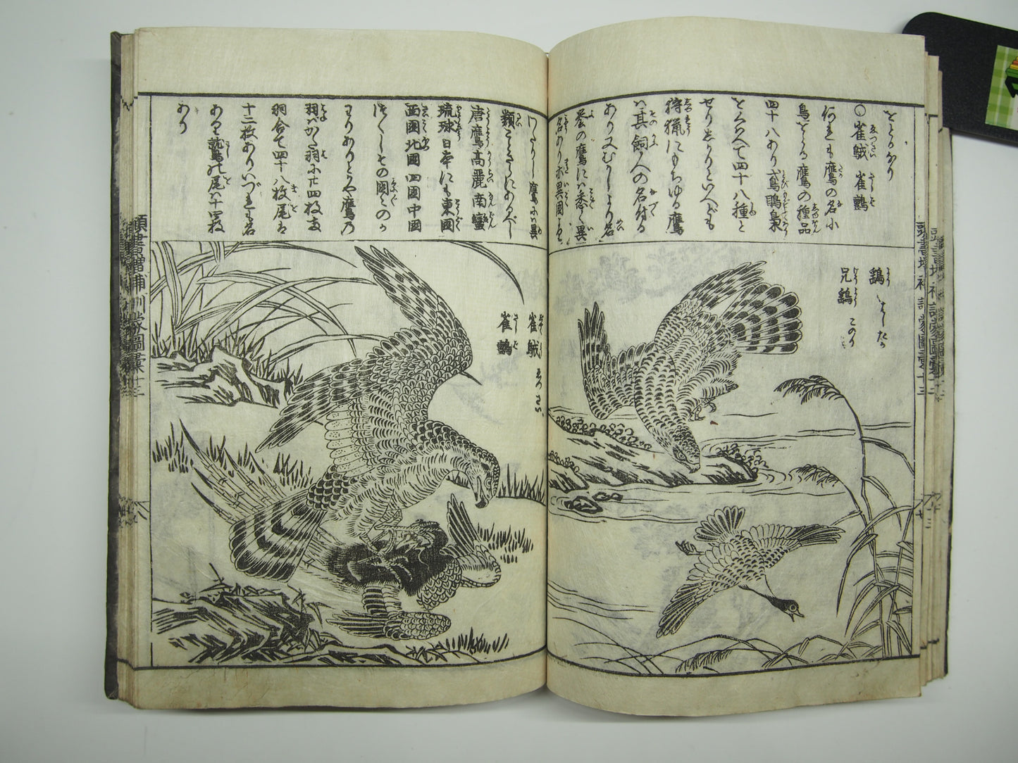 Woodblock Print Book x10 (Vol. 1-21): Kinmo Zui Illustrated Encyclopedia 1789