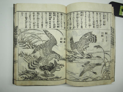Woodblock Print Book x10 (Vol. 1-21): Kinmo Zui Illustrated Encyclopedia 1789
