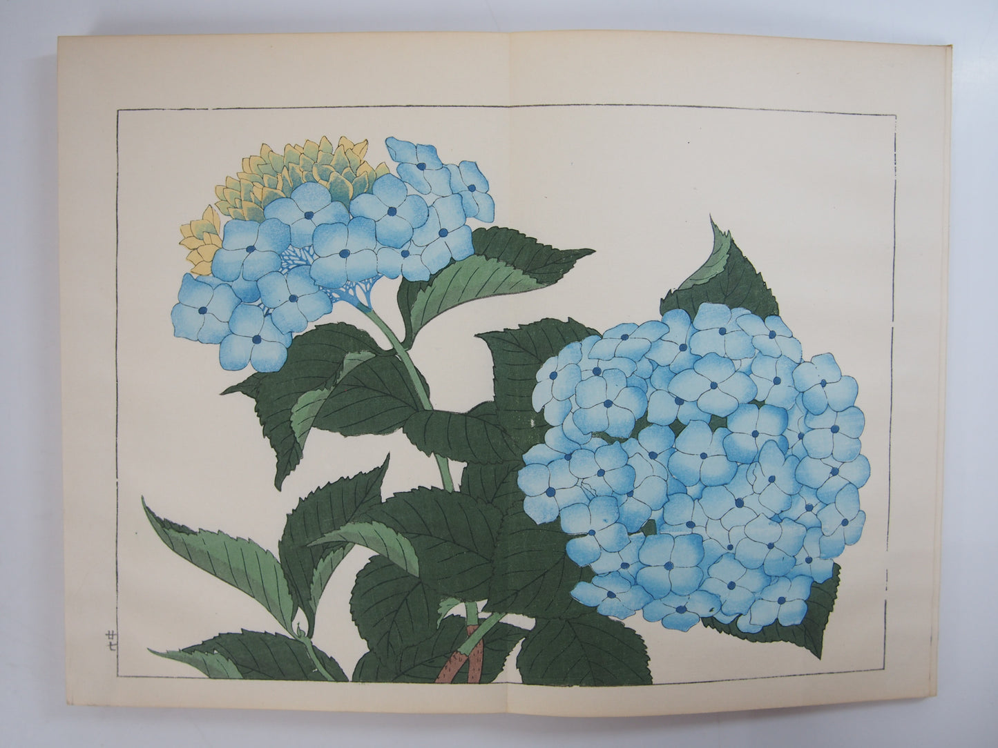 四季の花 全10巻 昭和42年 芸艸堂 Shiki no Hana (Flowers of the Four Seasons) (10 Volumes) 1967 Unsodo