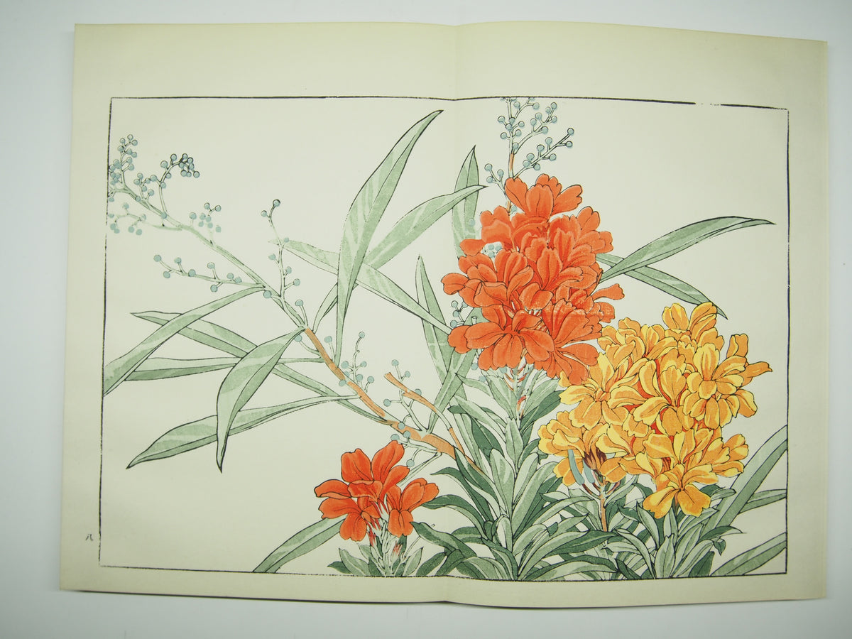 谷上広南 『西洋 草花図譜』 芸艸堂 昭和53年