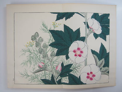 四季の花 全10巻 昭和42年 芸艸堂 Shiki no Hana (Flowers of the Four Seasons) (10 Volumes) 1967 Unsodo