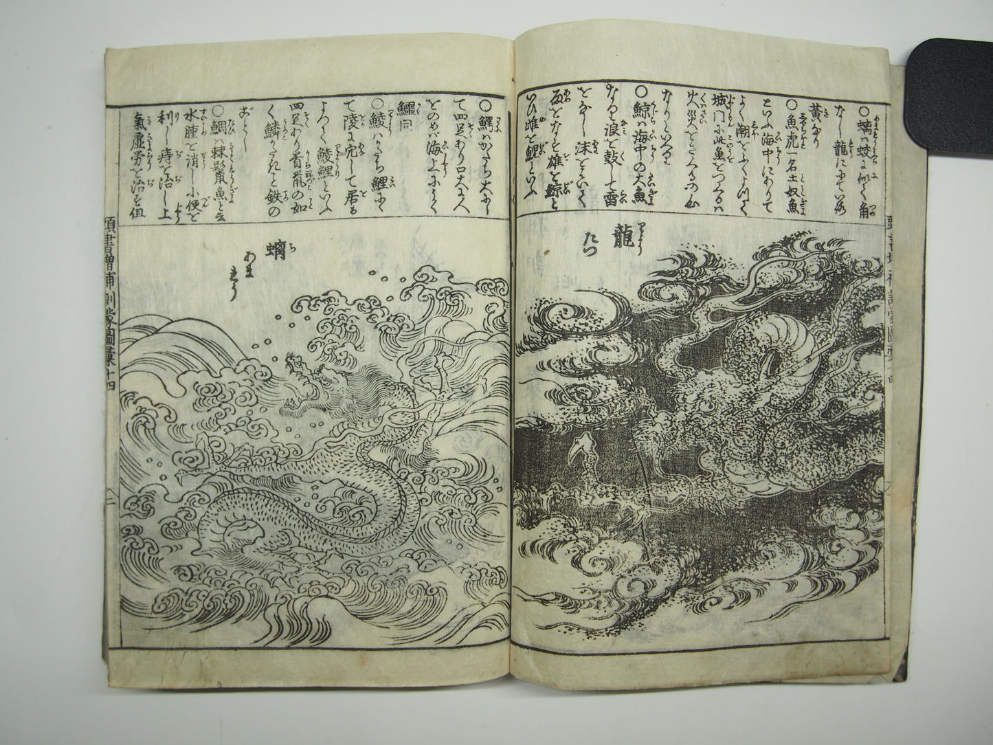 Woodblock Print Book x10 (Vol. 1-21): Kinmo Zui Illustrated Encyclopedia 1789