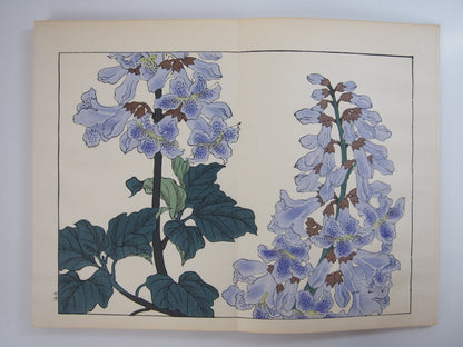 四季の花 全10巻 昭和42年 芸艸堂 Shiki no Hana (Flowers of the Four Seasons) (10 Volumes) 1967 Unsodo