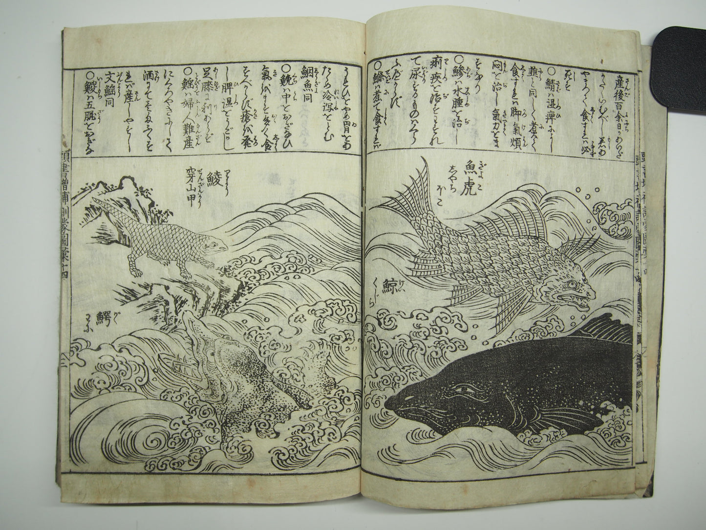 Woodblock Print Book x10 (Vol. 1-21): Kinmo Zui Illustrated Encyclopedia 1789