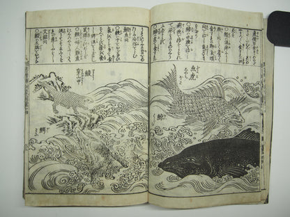 Woodblock Print Book x10 (Vol. 1-21): Kinmo Zui Illustrated Encyclopedia 1789