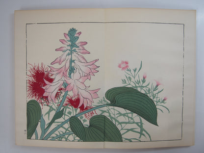 四季の花 全10巻 昭和42年 芸艸堂 Shiki no Hana (Flowers of the Four Seasons) (10 Volumes) 1967 Unsodo