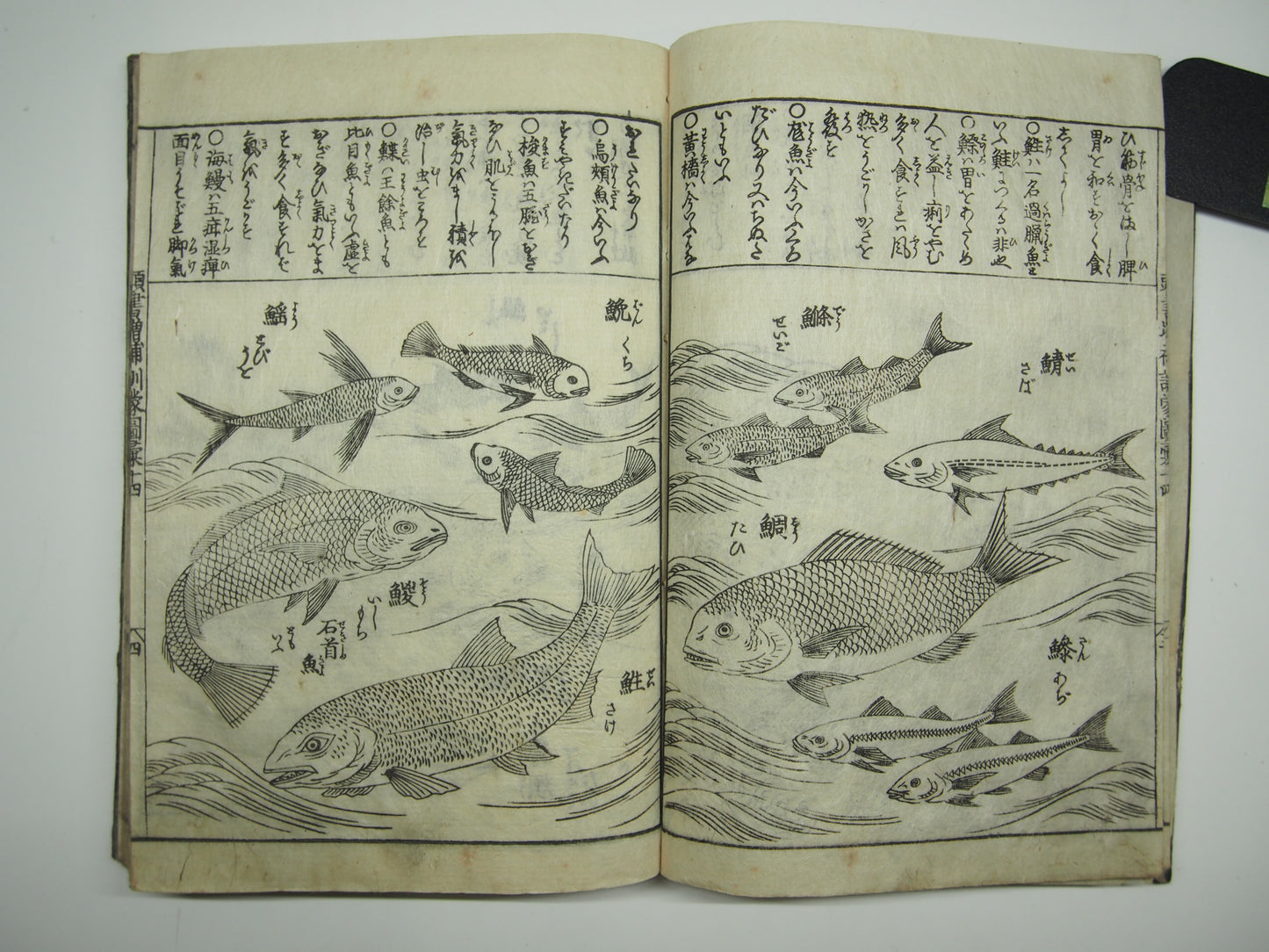 Woodblock Print Book x10 (Vol. 1-21): Kinmo Zui Illustrated Encyclopedia 1789