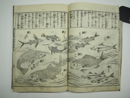 Woodblock Print Book x10 (Vol. 1-21): Kinmo Zui Illustrated Encyclopedia 1789