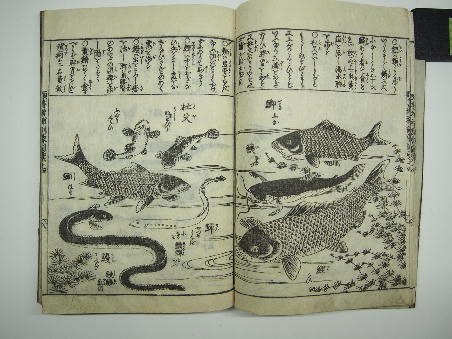 Woodblock Print Book x10 (Vol. 1-21): Kinmo Zui Illustrated Encyclopedia 1789
