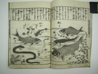 Woodblock Print Book x10 (Vol. 1-21): Kinmo Zui Illustrated Encyclopedia 1789