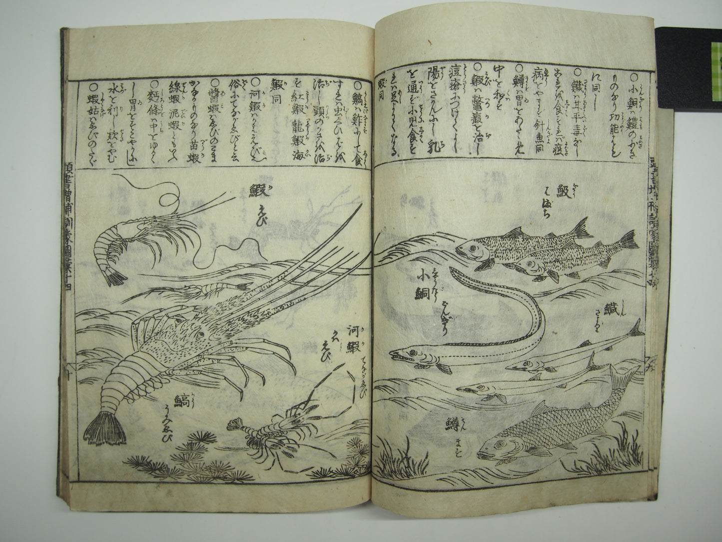 Woodblock Print Book x10 (Vol. 1-21): Kinmo Zui Illustrated Encyclopedia 1789