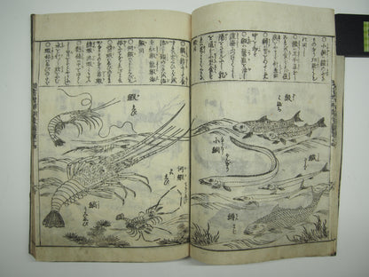 Woodblock Print Book x10 (Vol. 1-21): Kinmo Zui Illustrated Encyclopedia 1789