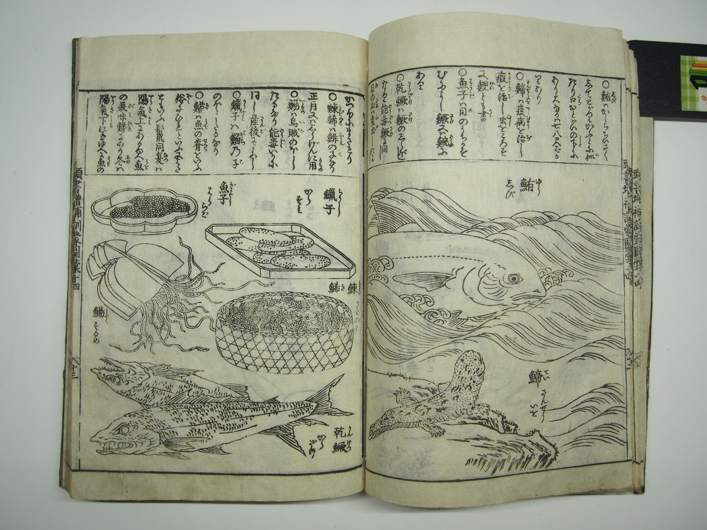 Woodblock Print Book x10 (Vol. 1-21): Kinmo Zui Illustrated Encyclopedia 1789