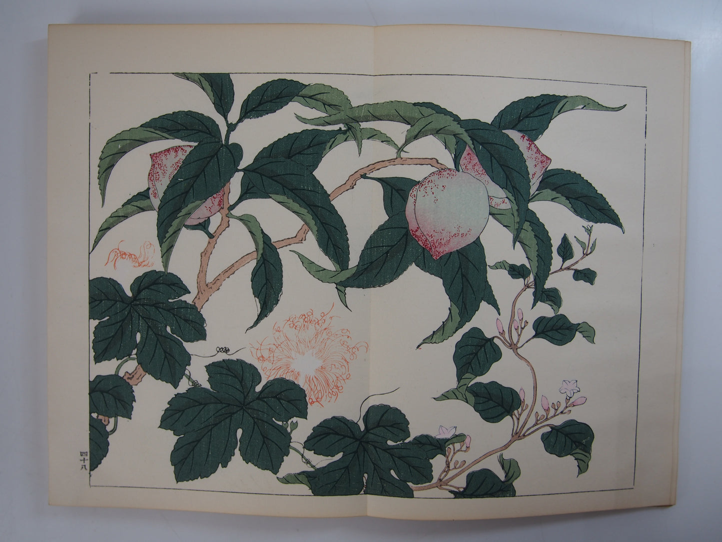 四季の花 全10巻 昭和42年 芸艸堂 Shiki no Hana (Flowers of the Four Seasons) (10 Volumes) 1967 Unsodo