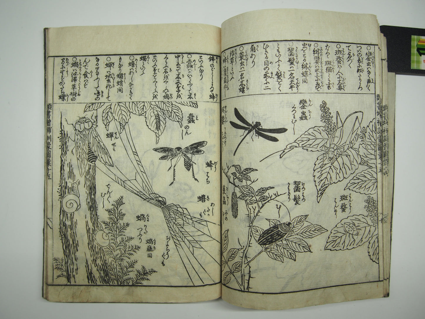 Woodblock Print Book x10 (Vol. 1-21): Kinmo Zui Illustrated Encyclopedia 1789