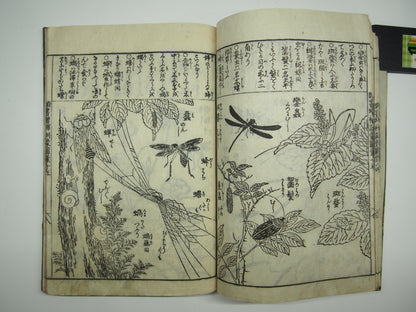 Woodblock Print Book x10 (Vol. 1-21): Kinmo Zui Illustrated Encyclopedia 1789