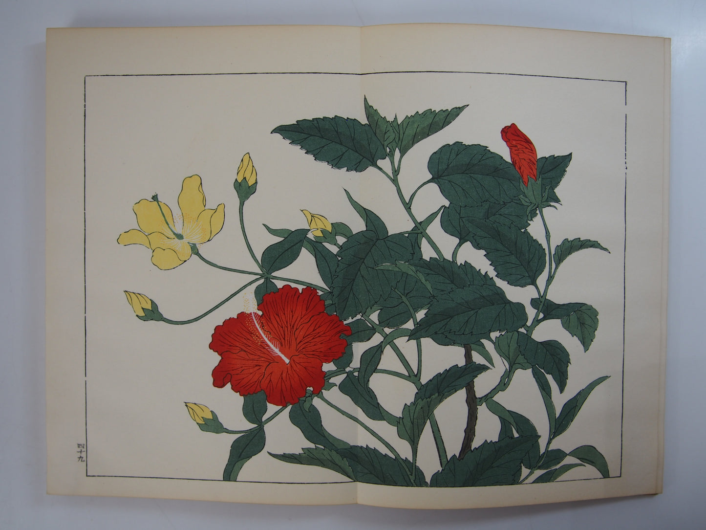 四季の花 全10巻 昭和42年 芸艸堂 Shiki no Hana (Flowers of the Four Seasons) (10 Volumes) 1967 Unsodo
