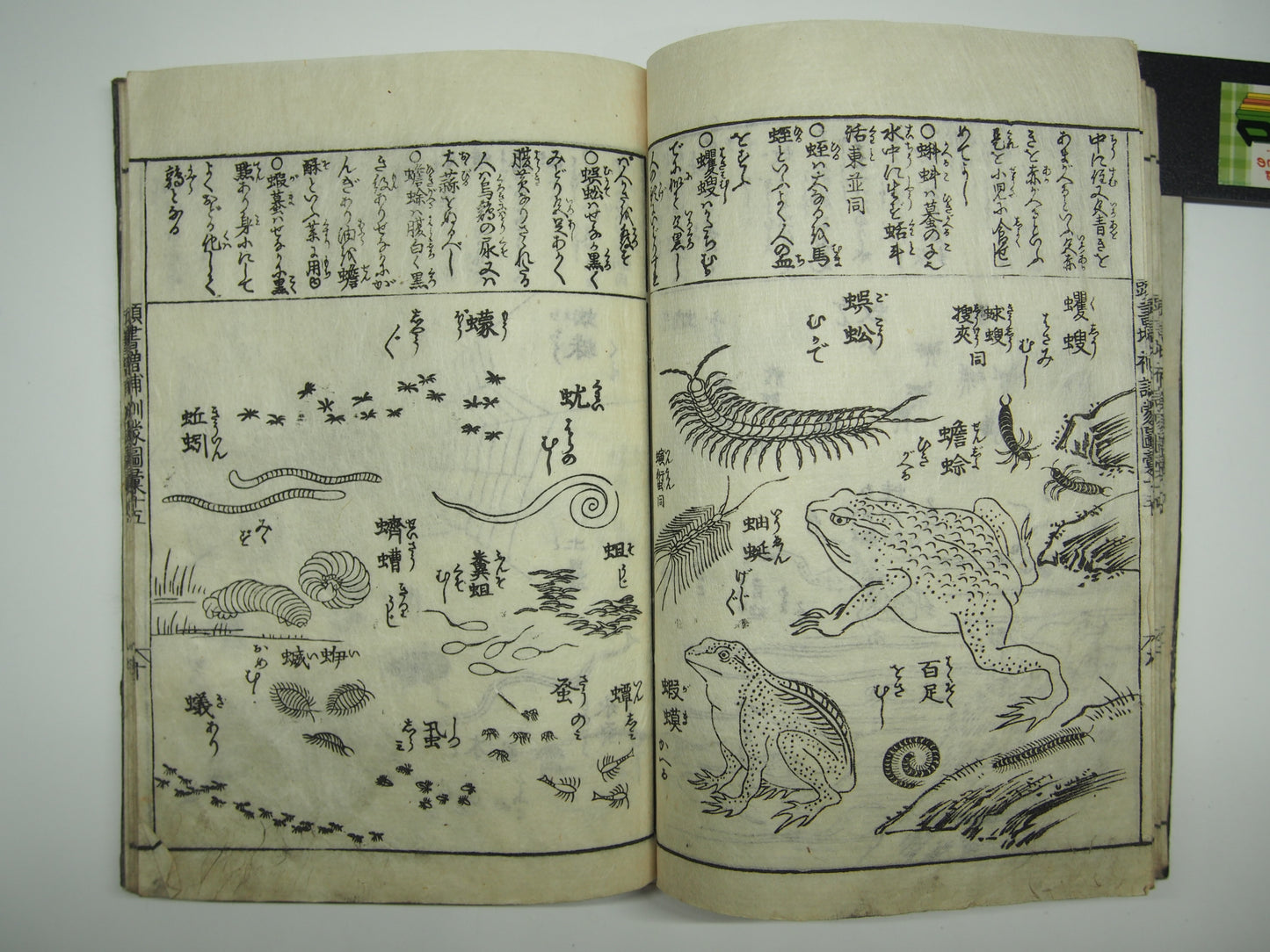 Woodblock Print Book x10 (Vol. 1-21): Kinmo Zui Illustrated Encyclopedia 1789