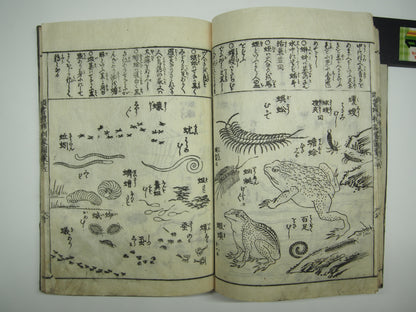 Woodblock Print Book x10 (Vol. 1-21): Kinmo Zui Illustrated Encyclopedia 1789