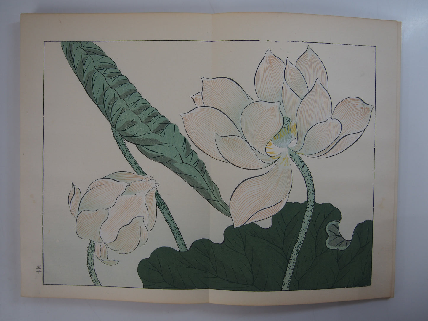 四季の花 全10巻 昭和42年 芸艸堂 Shiki no Hana (Flowers of the Four Seasons) (10 Volumes) 1967 Unsodo