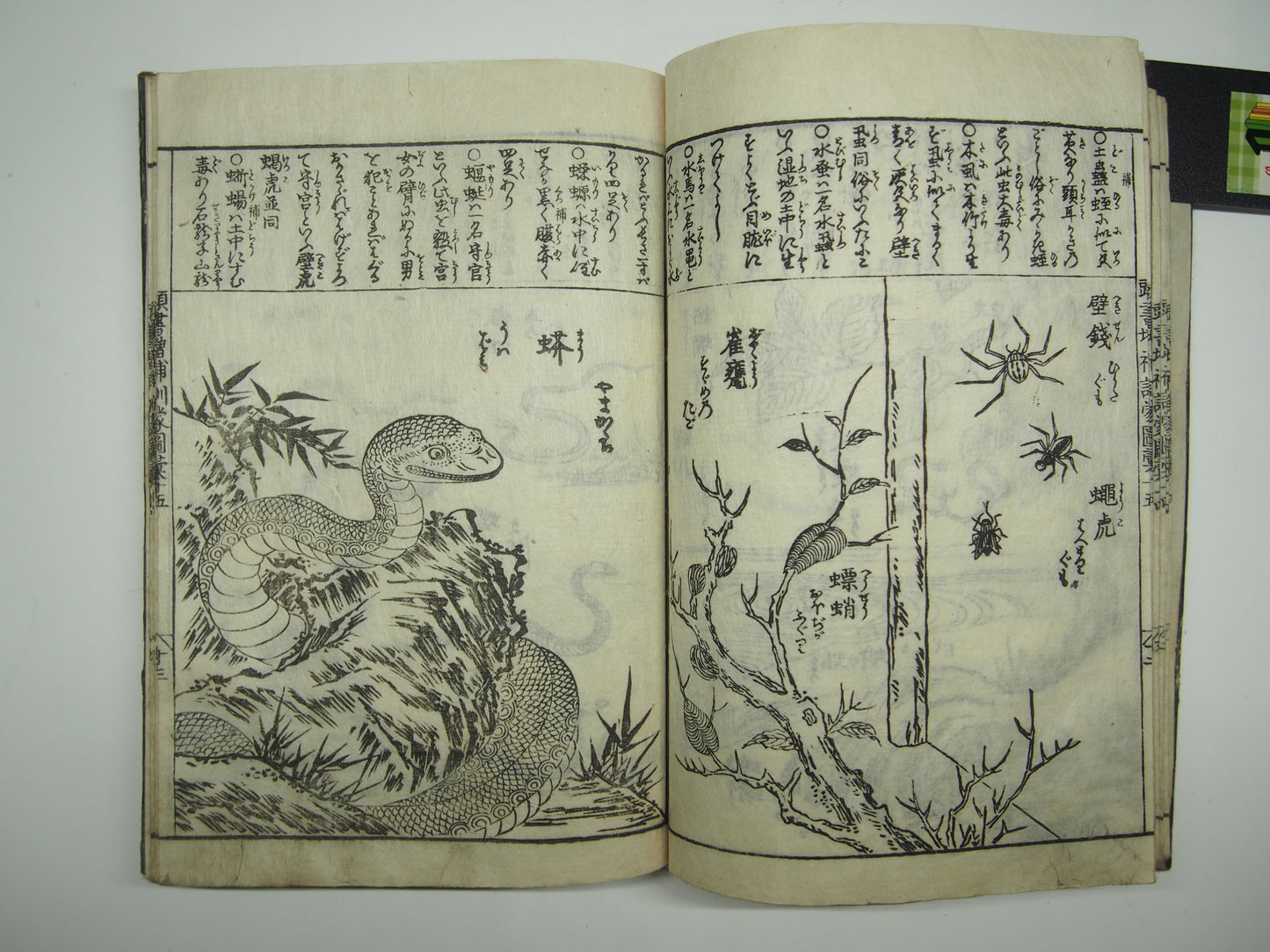 Woodblock Print Book x10 (Vol. 1-21): Kinmo Zui Illustrated Encyclopedia 1789