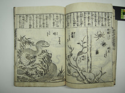 Woodblock Print Book x10 (Vol. 1-21): Kinmo Zui Illustrated Encyclopedia 1789