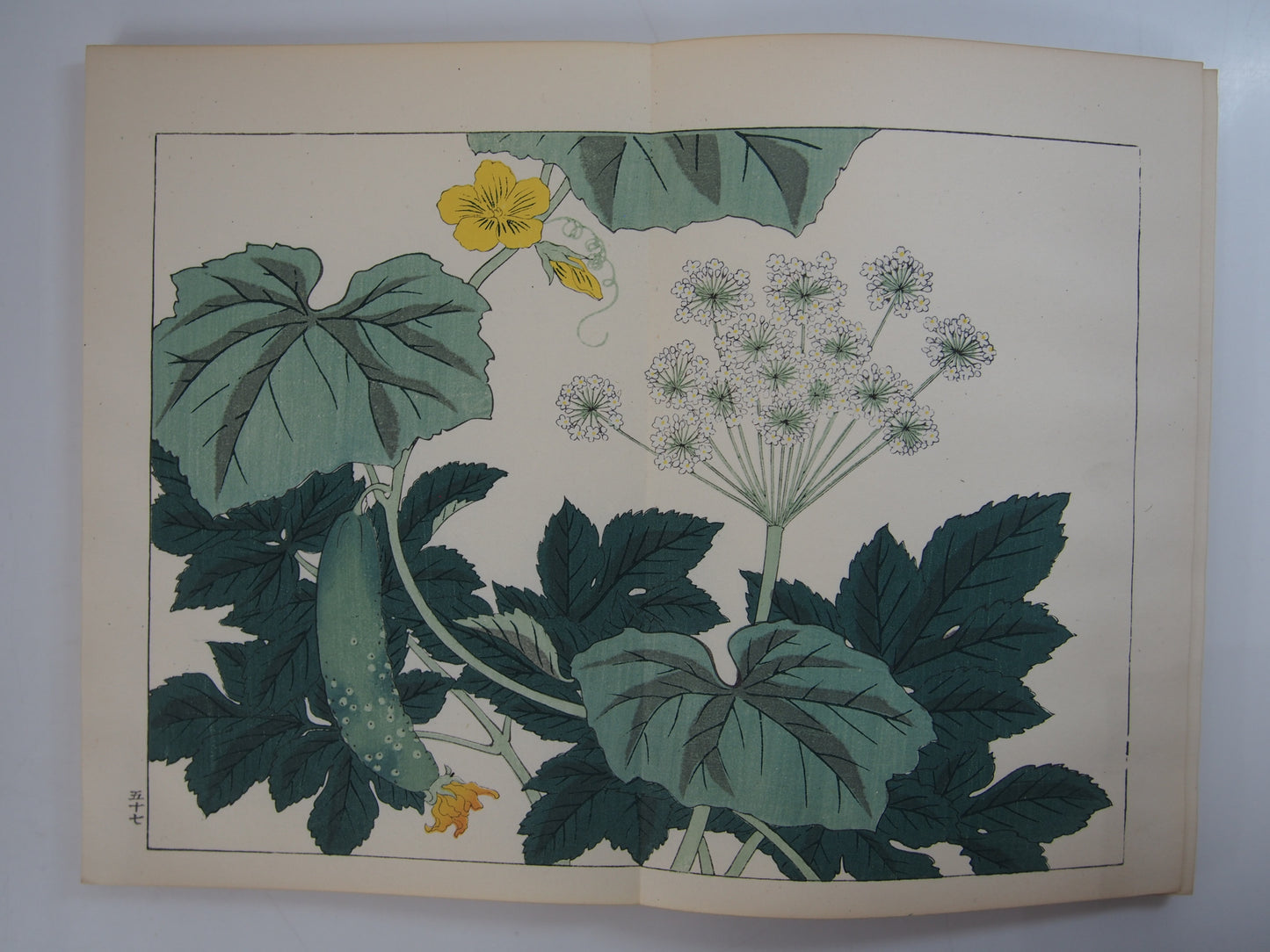 四季の花 全10巻 昭和42年 芸艸堂 Shiki no Hana (Flowers of the Four Seasons) (10 Volumes) 1967 Unsodo