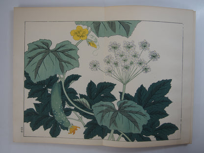 四季の花 全10巻 昭和42年 芸艸堂 Shiki no Hana (Flowers of the Four Seasons) (10 Volumes) 1967 Unsodo