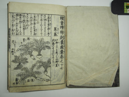 Woodblock Print Book x10 (Vol. 1-21): Kinmo Zui Illustrated Encyclopedia 1789