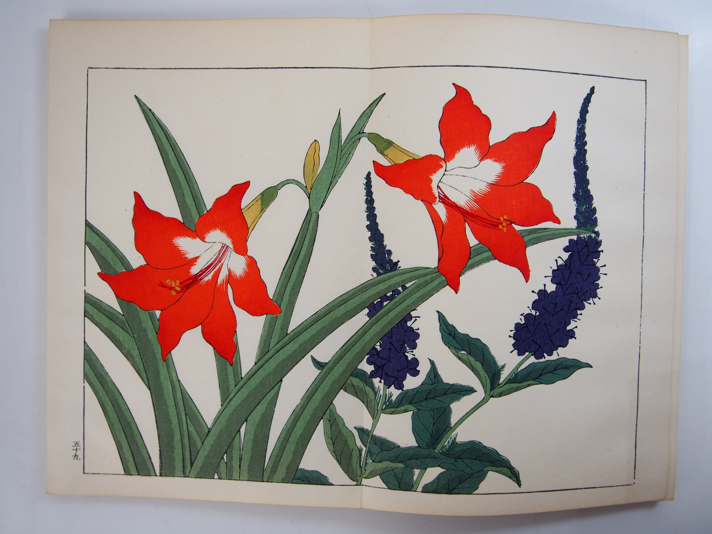 四季の花 全10巻 昭和42年 芸艸堂 Shiki no Hana (Flowers of the Four Seasons) (10 Volumes) 1967 Unsodo
