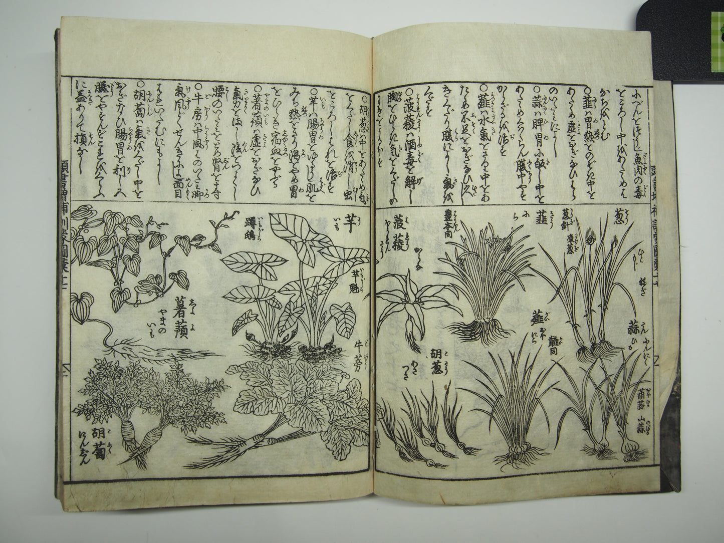 Woodblock Print Book x10 (Vol. 1-21): Kinmo Zui Illustrated Encyclopedia 1789