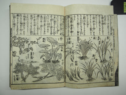 Woodblock Print Book x10 (Vol. 1-21): Kinmo Zui Illustrated Encyclopedia 1789
